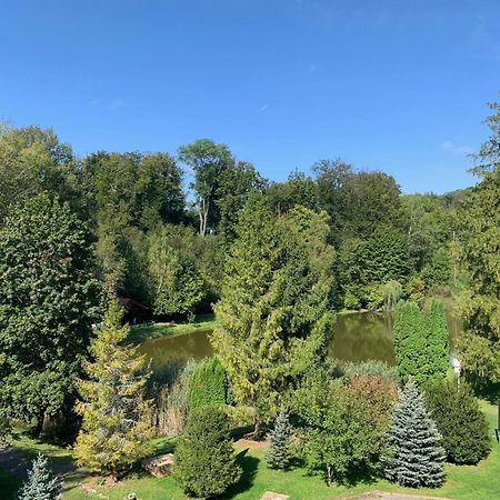 Sebesviz Panzio Bed & Breakfast Repashuta Bagian luar foto