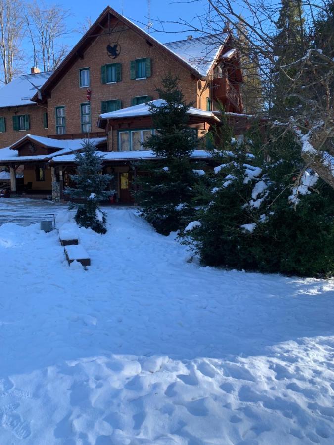 Sebesviz Panzio Bed & Breakfast Repashuta Bagian luar foto