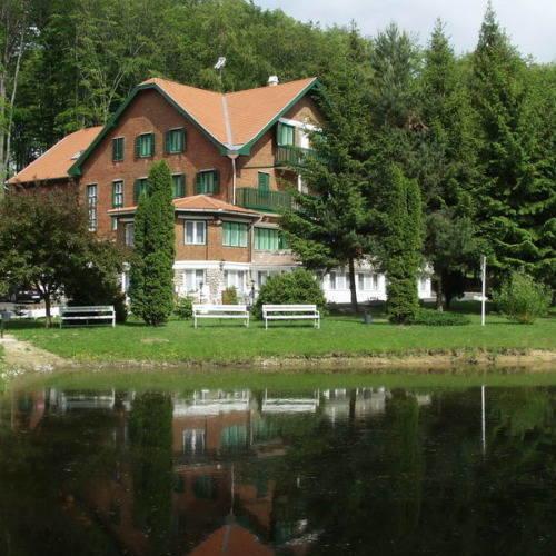 Sebesviz Panzio Bed & Breakfast Repashuta Bagian luar foto