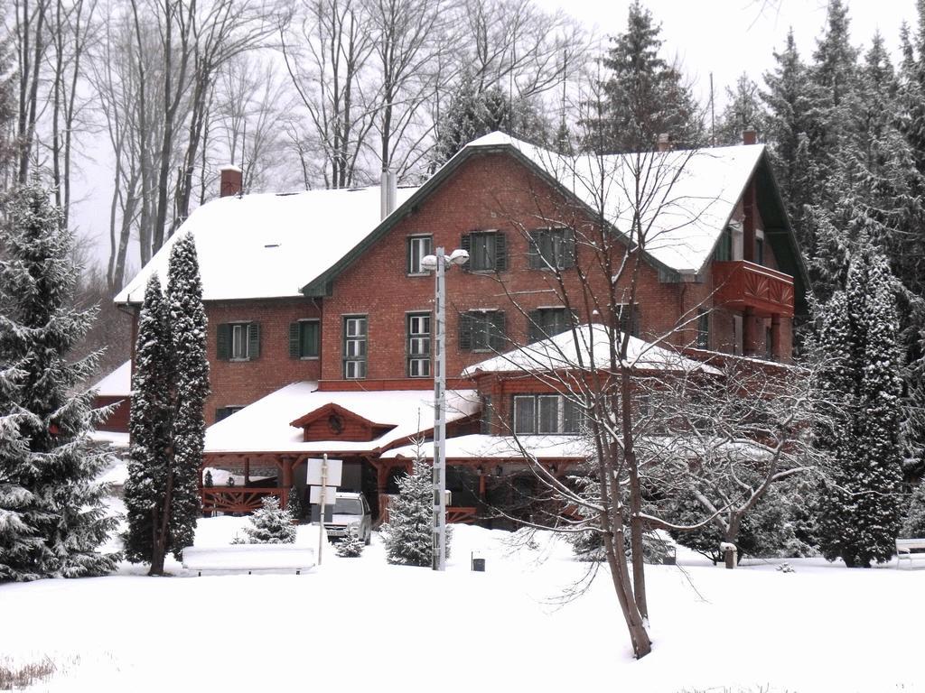Sebesviz Panzio Bed & Breakfast Repashuta Bagian luar foto