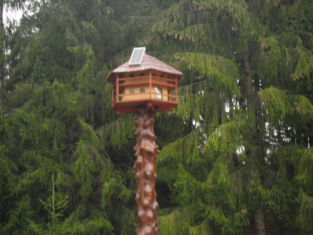 Sebesviz Panzio Bed & Breakfast Repashuta Bagian luar foto
