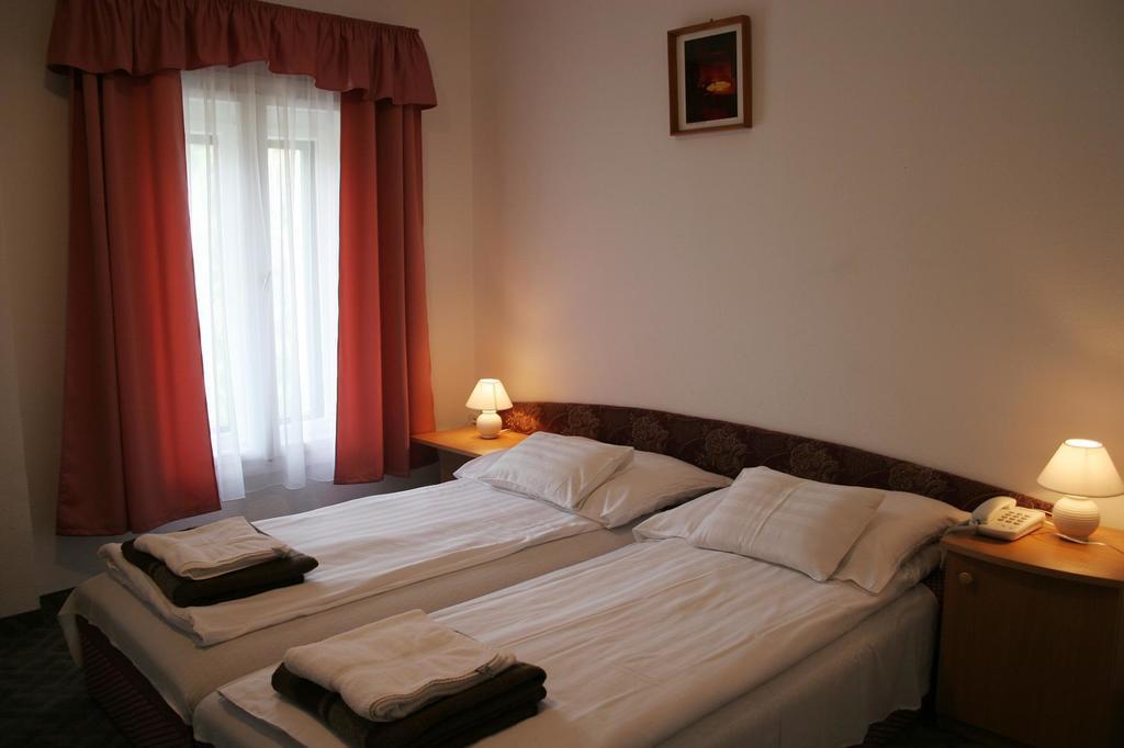 Sebesviz Panzio Bed & Breakfast Repashuta Bagian luar foto