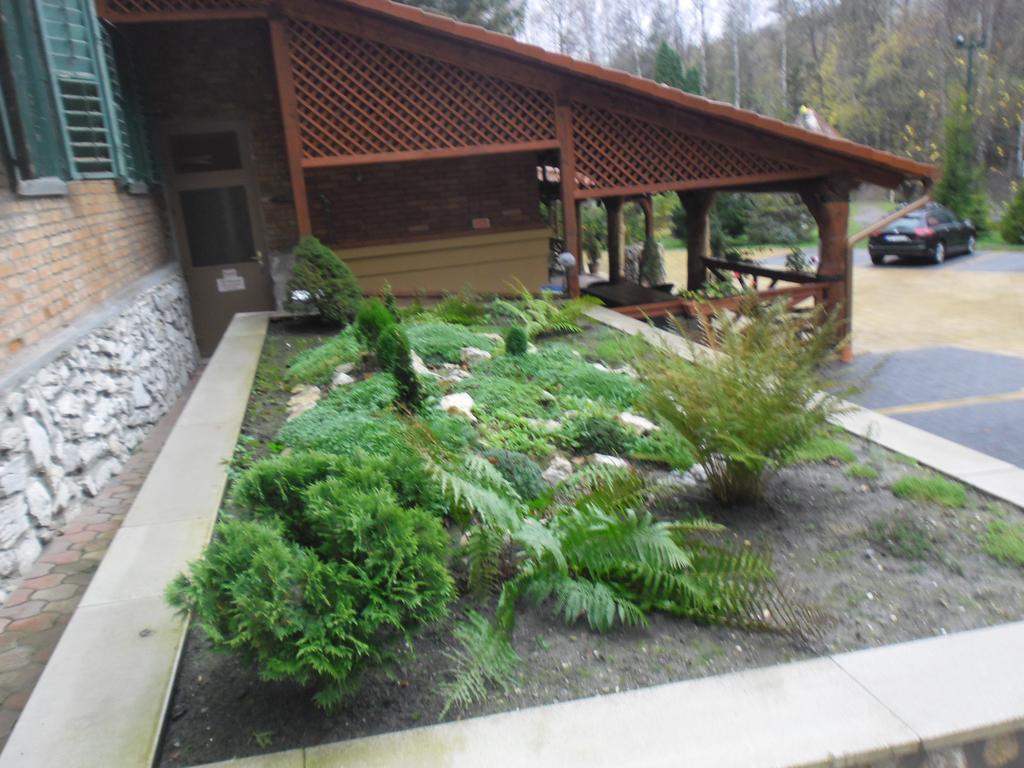 Sebesviz Panzio Bed & Breakfast Repashuta Bagian luar foto