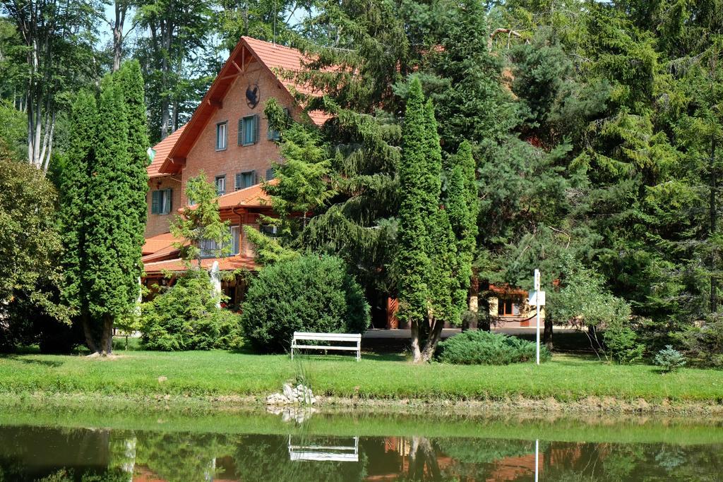 Sebesviz Panzio Bed & Breakfast Repashuta Bagian luar foto